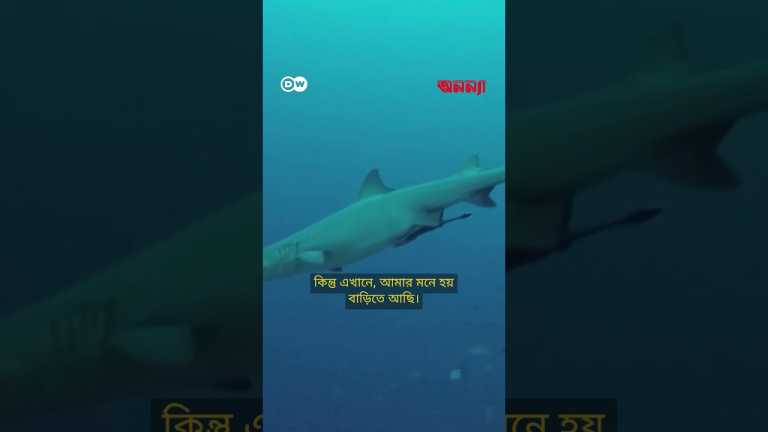 মালয়েশিয়ার শেষ যাযাবর গোষ্ঠী | Anannya | DW