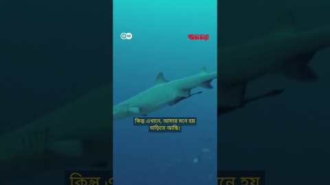 মালয়েশিয়ার শেষ যাযাবর গোষ্ঠী | Anannya | DW