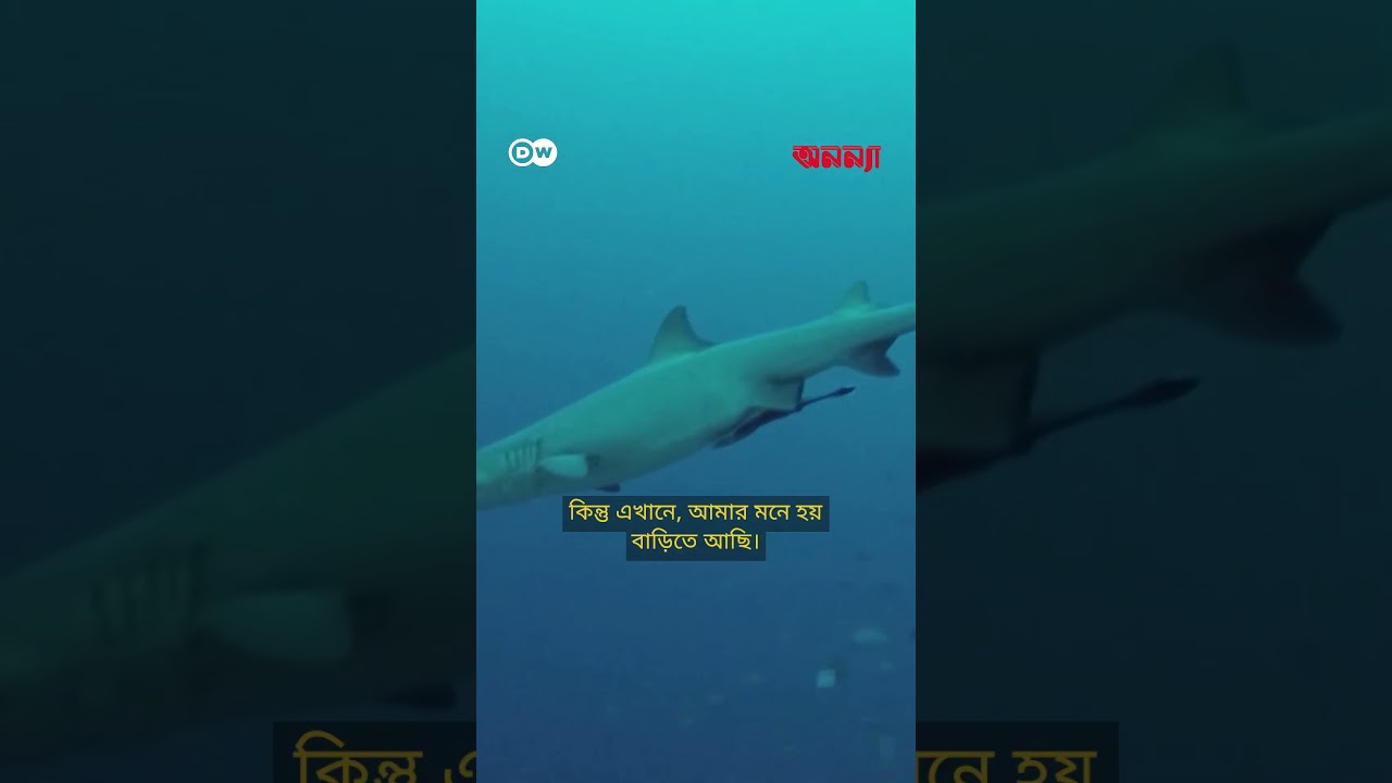 মালয়েশিয়ার শেষ যাযাবর গোষ্ঠী | Anannya | DW