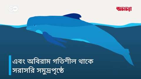 তিমিরা কি ঘুমায়? | Anannya | DW