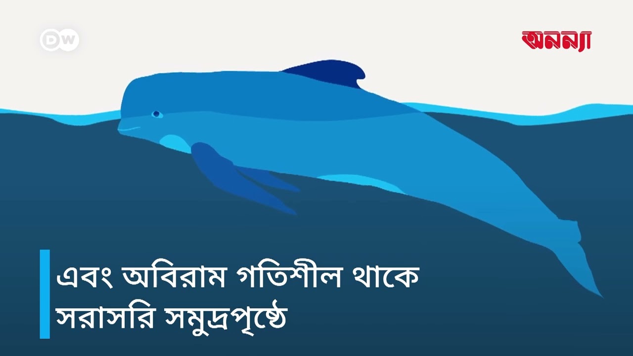 তিমিরা কি ঘুমায়? | Anannya | DW