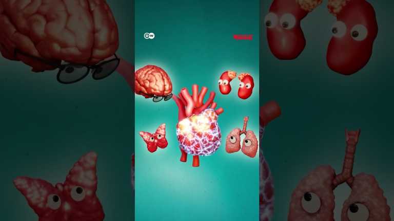 হৃদপিণ্ড এক সুপার অর্গান | Anannya | DW | Health | Heart