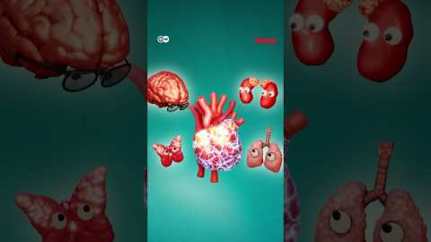হৃদপিণ্ড এক সুপার অর্গান | Anannya | DW | Health | Heart