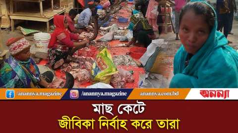 মাছ কেটে জীবিকা নির্বাহ করেন যারা | Fish Cutting | Professional Fish Cutter | Fish Market | Anannya