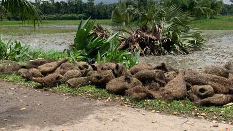 WhatsApp Image 2025-06-29 at 3.48.49 PM