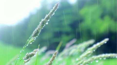 শুদ্ধতার_বৃষ্টি