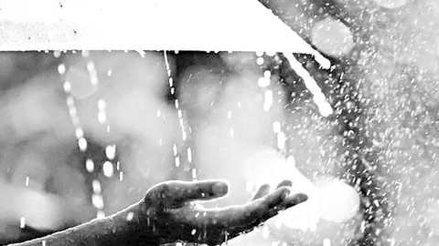 শুদ্ধতার_বৃষ্টি
