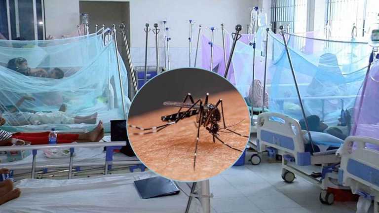Dengue_20231224_175346778