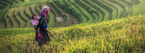rural_women_2024_terrace_field_and_farmer