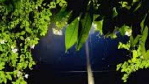 মৃত্যু…