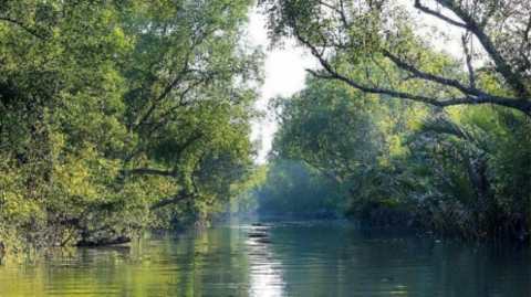 sundarbans