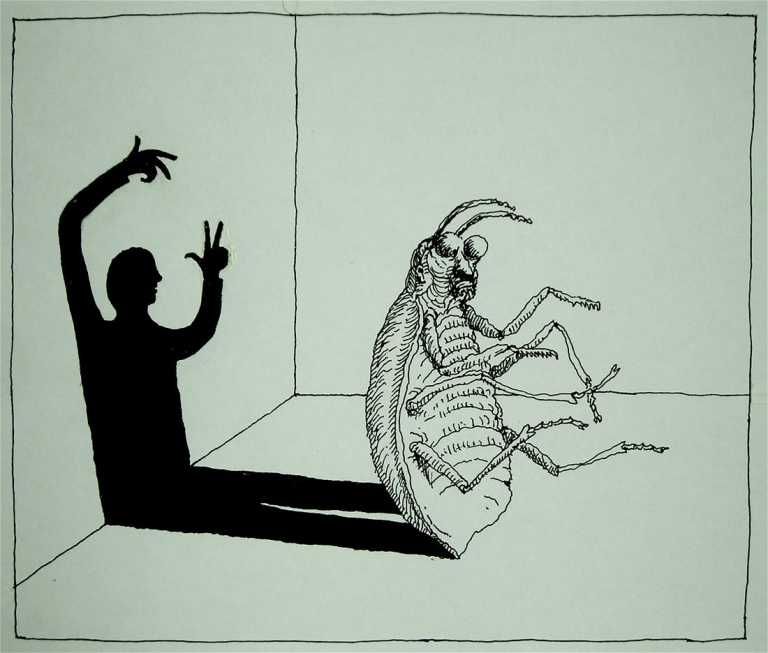 Metamorphosis
