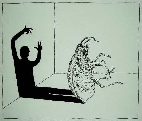 Metamorphosis