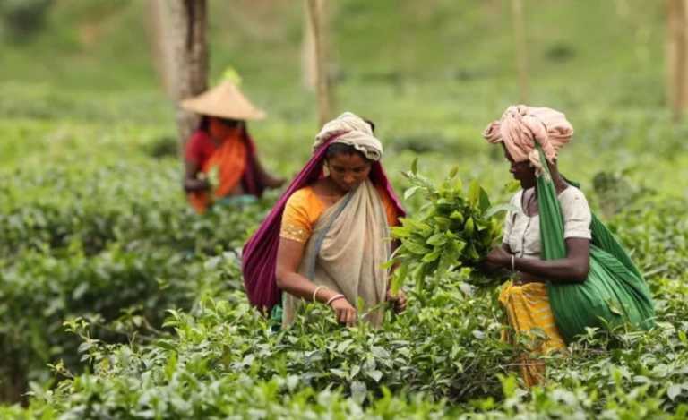 নারী দিবসের বাইরে নেই নারীর গল্প