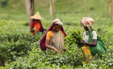 নারী দিবসের বাইরে নেই নারীর গল্প