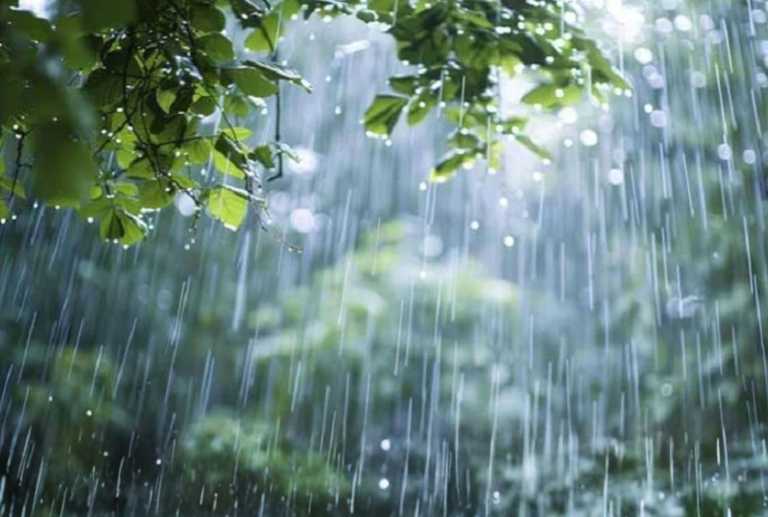দেশের বিভিন্ন অঞ্চলে ঝড়ো হাওয়াসহ বৃষ্টির আভাস