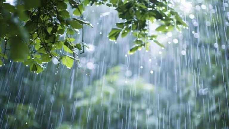 দেশজুড়ে বৃষ্টির সম্ভাবনা