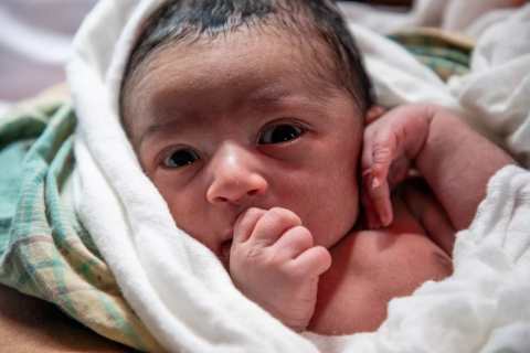 WhatsApp Image 2026-04-03 at 8.50.01 PM