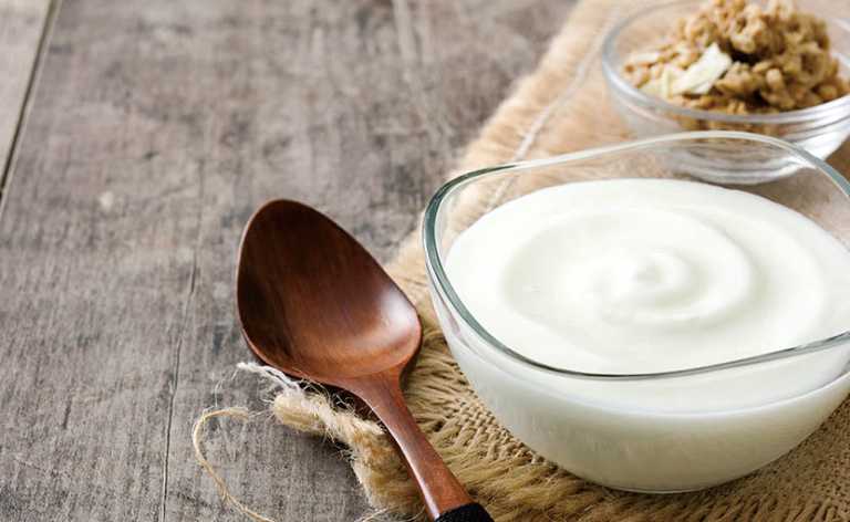 yogurt