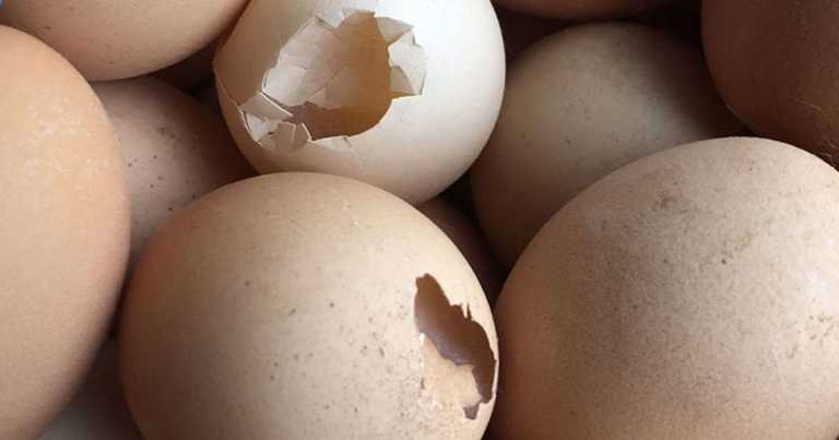 Ruined-Damaged-Eggs
