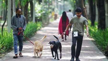 গুলশান লেক পার্কে শুরু হলো ‘ডগ ওয়াকিং ক্লাব’