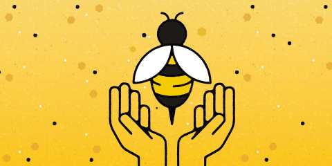 World-Bee-Day2024