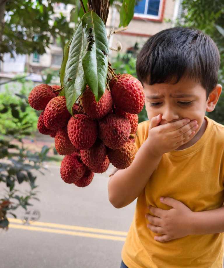 lichi
