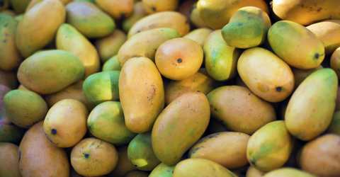 mango1-20230510123140