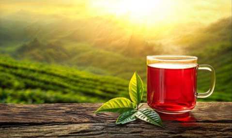ytea