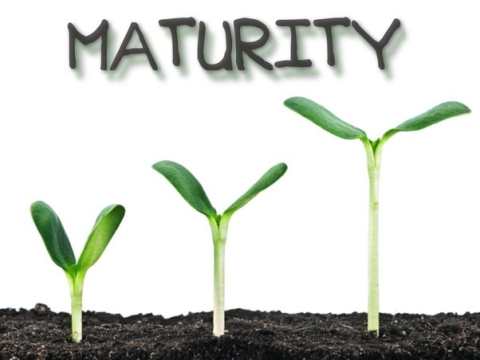 maturity-by-kamal-uddin-mehedi