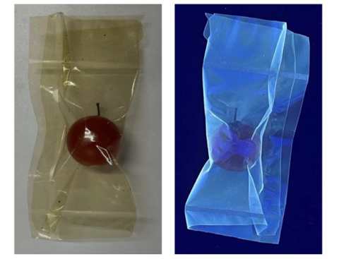 Fig.2