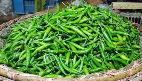 কাঁচা মরিচের কেজি ছাড়াল ২০০ টাকা