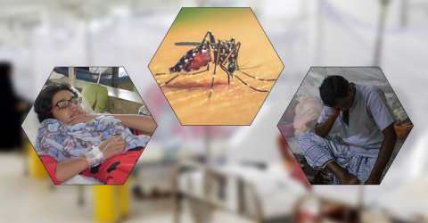 dengue-20221020122722