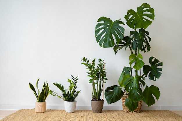 indoor-plants-studio_23-2151022074