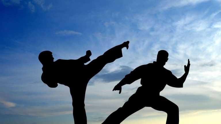 S47zPmbfwRsLXGiu_karate