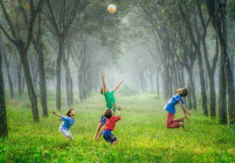 SAH_blog48_Montessori_Lexxion-1536×1063.jpg (1) (1)