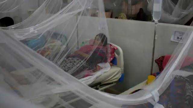 জ্বর হলে অবহেলা নয়, ডেঙ্গু পরীক্ষার পরামর্শ চিকিৎসকদের