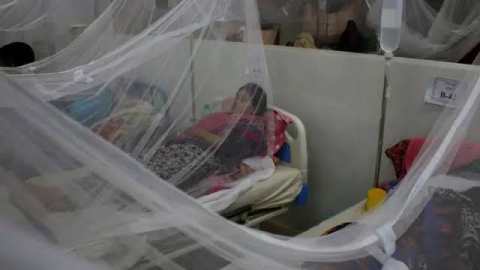 জ্বর হলে অবহেলা নয়, ডেঙ্গু পরীক্ষার পরামর্শ চিকিৎসকদের