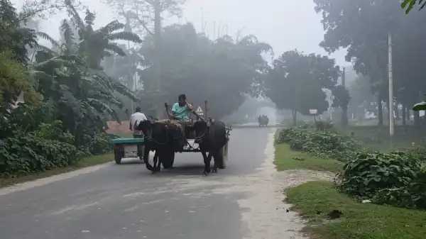 IMG-20260929-WA0000