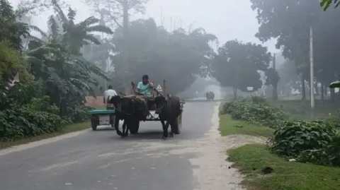 IMG-20260929-WA0000