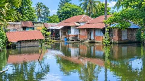 IMG_4911