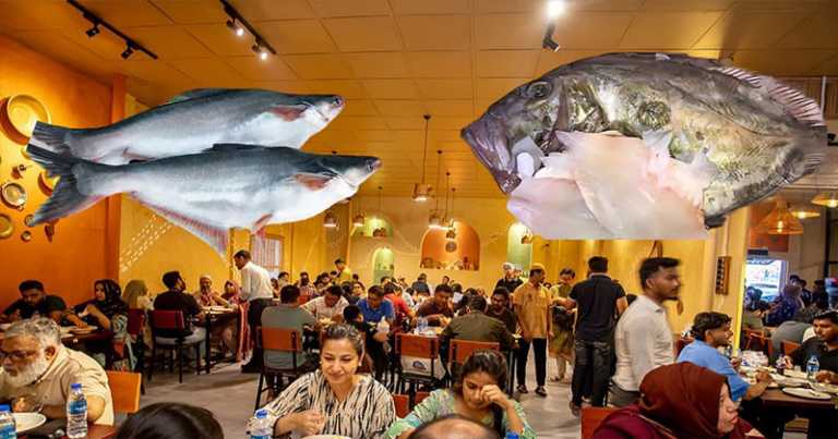 dori-fish-20251109175228