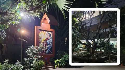 ভেঙে যাবে পুরোনো ভবন, স্মৃতির টানে সাবেকদের ডাকল নটর ডেম