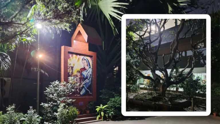 ভেঙে যাবে পুরোনো ভবন, স্মৃতির টানে সাবেকদের ডাকল নটর ডেম