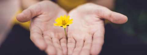 images (28)