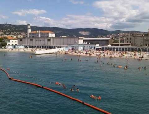 images (31)