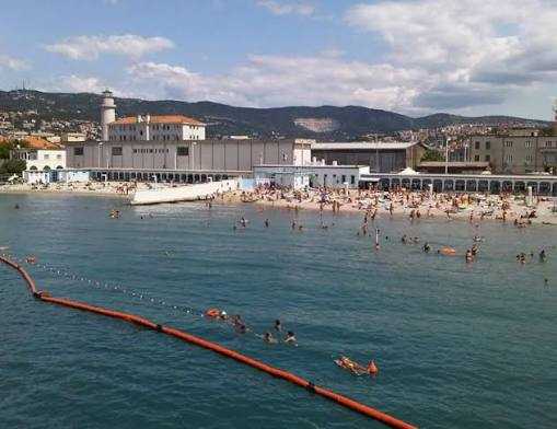 images (31)