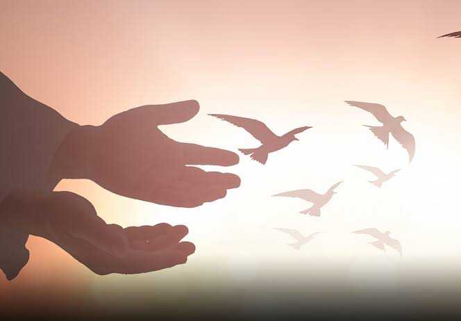 শান্তির খোঁজে বিশ্ব, সূচনা হোক নিজেকে দিয়ে
