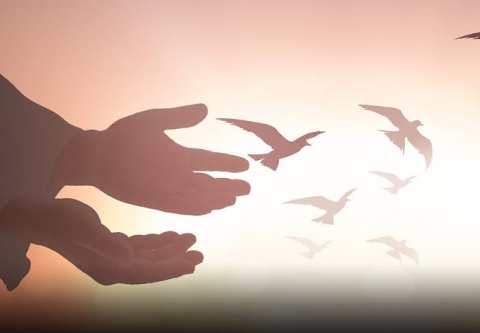 শান্তির খোঁজে বিশ্ব, সূচনা হোক নিজেকে দিয়ে