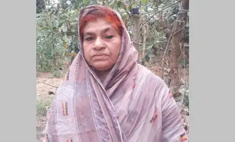 বীরাঙ্গনা স্বীকৃতি না পেয়েই চলে গেলেন জয়গুন